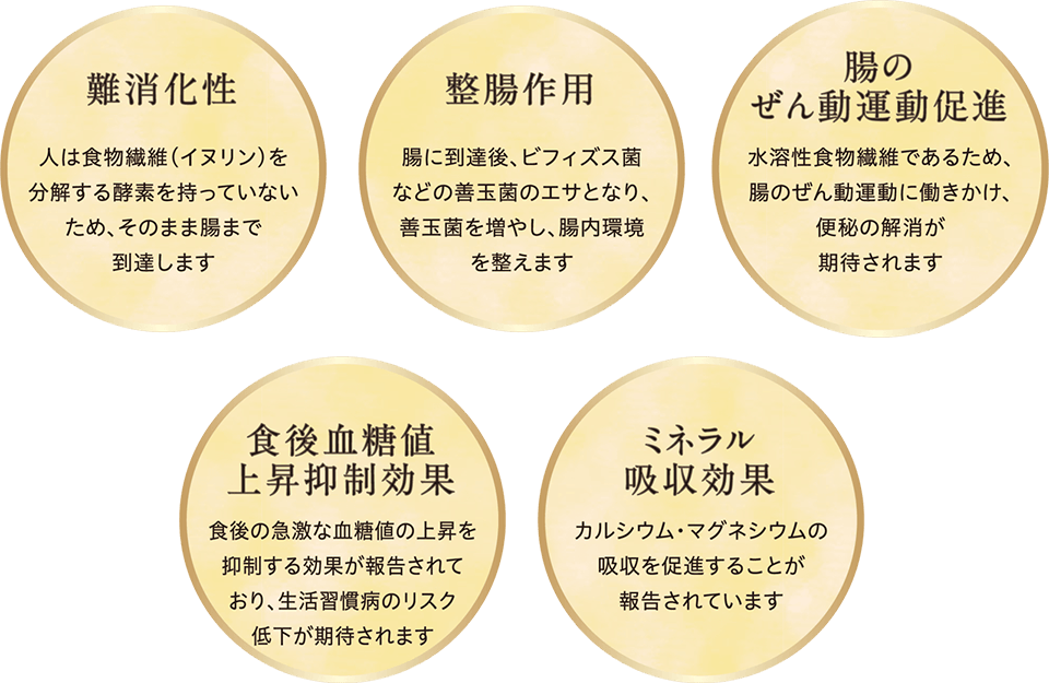 難消化性、整腸効果、血中中性脂肪低下作用、食後血糖値上昇抑制効果、ミネラル吸収効果