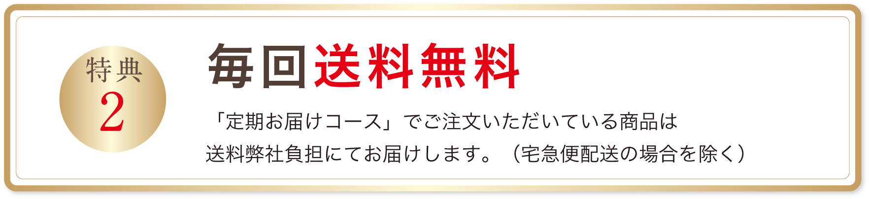 毎回送料無料